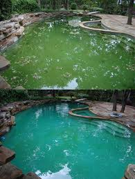 Great Pool Service in Sacramento, Elk Grove, Folsom, Roseville, and Davis